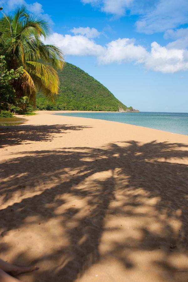 Lodge Coco Deshaies Exterior foto